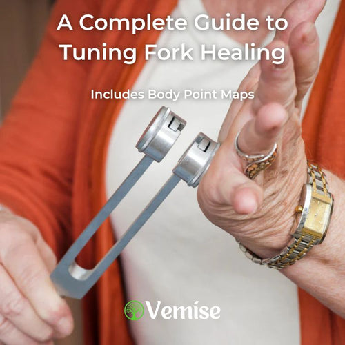 e-Book Guide